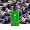 SLEEP - Body Milk 250ml - Image 2