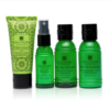 Aloe Vera Watergrass - Hair Care Discovery Set - Image 3
